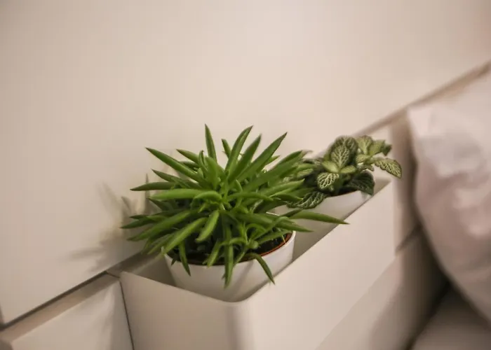 Appartement Premium Mamaia Nord - Marea La 50m